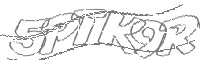 Check code